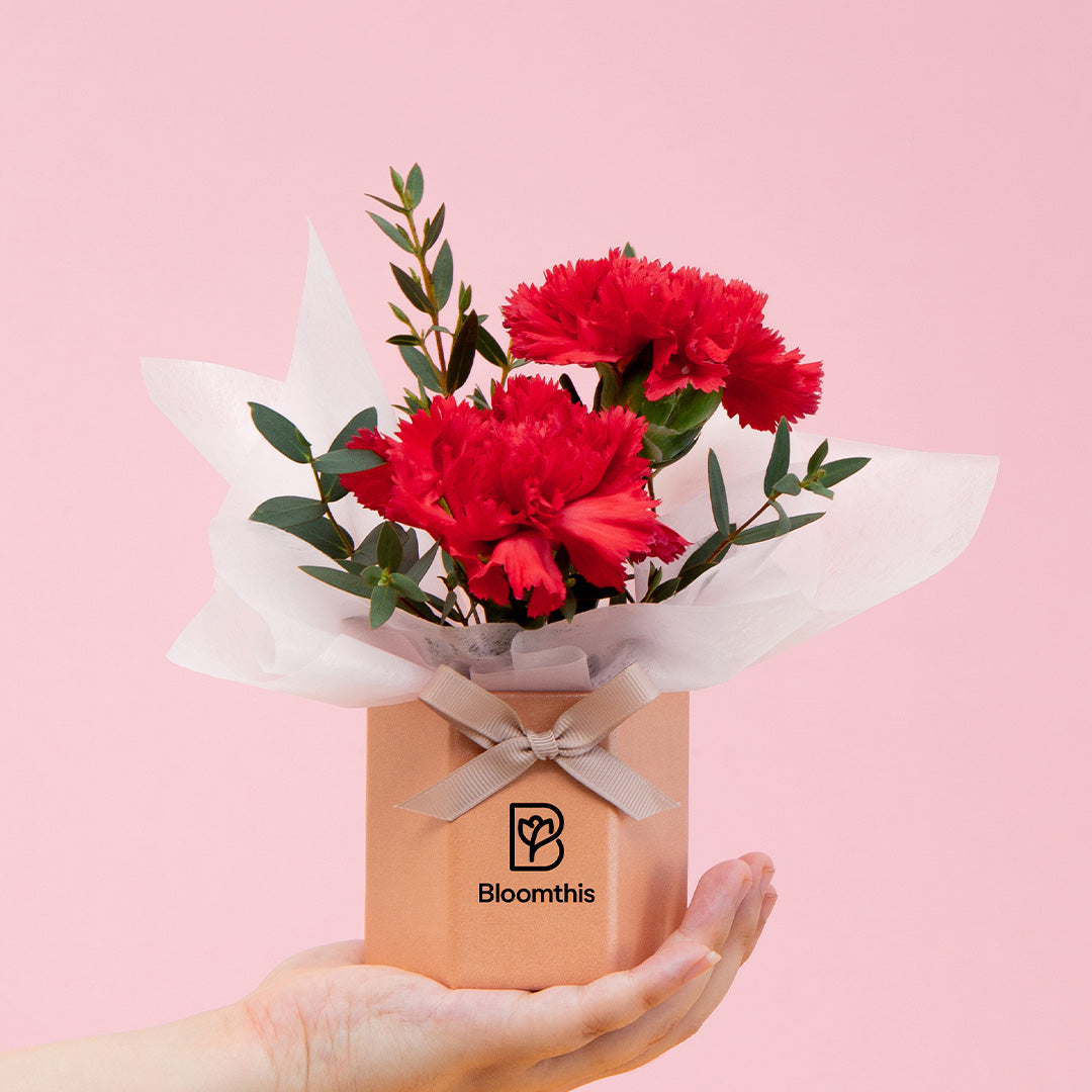 Wynona Carnation Mini Flower Box | Free Delivery | Bloomthis Wynona Carnation Mini Flower Box | Free Delivery | Bloomthis
