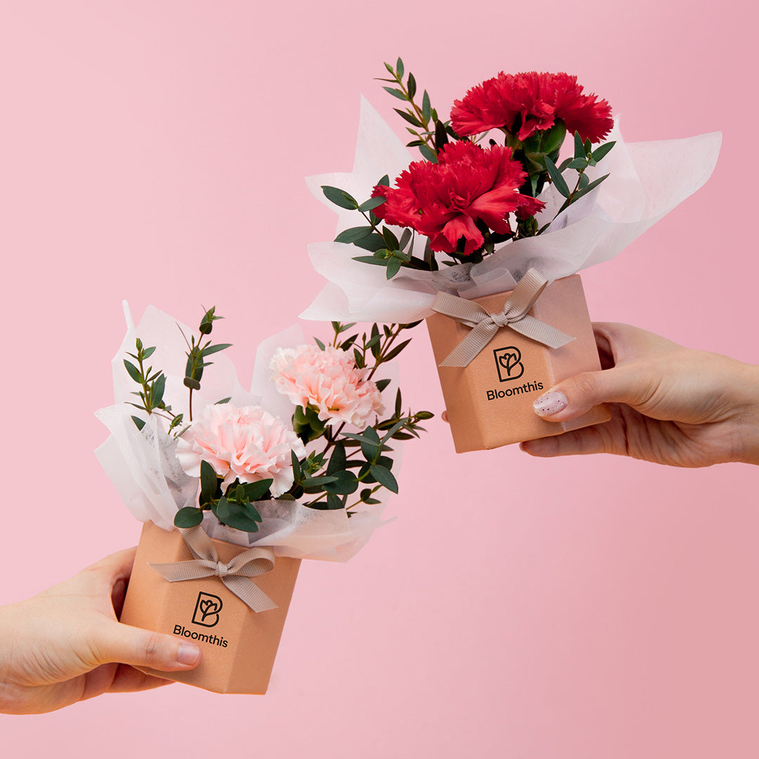 bloomthis-hat-box-wynona-carnation-mini-flower-box-1080x1080-04_ea7f2eb6-ac32-48f7-b1ab-937ac98cf304