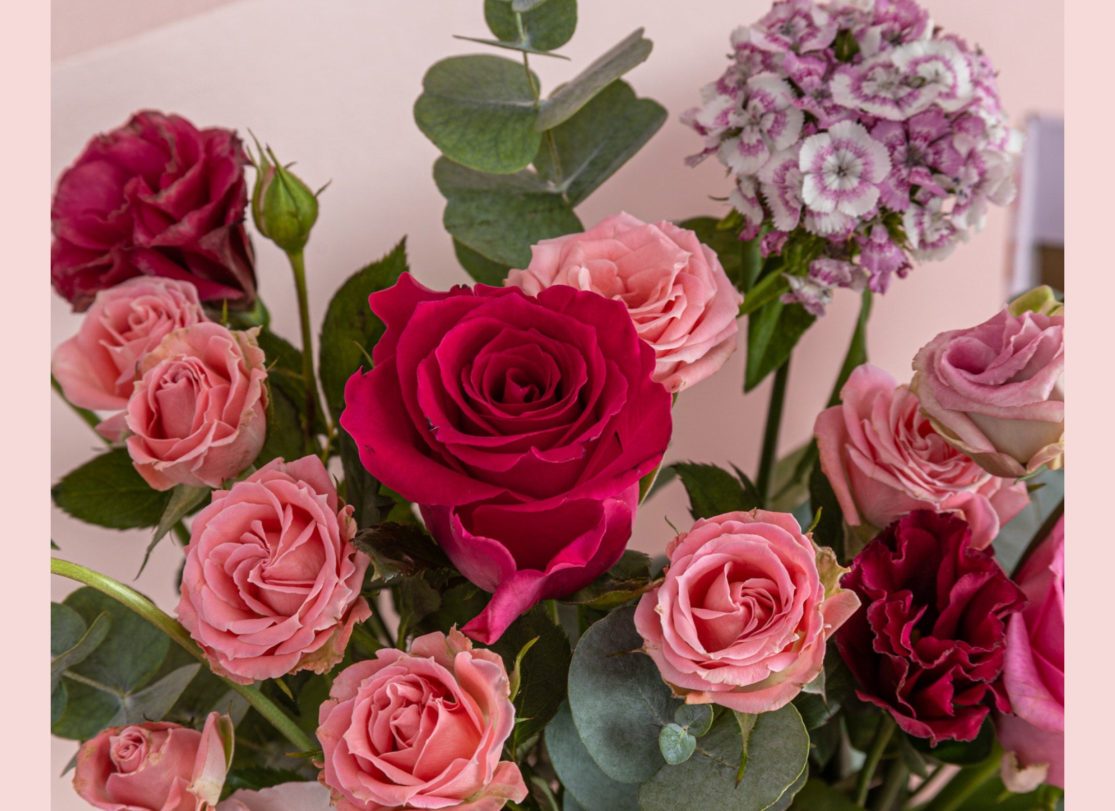 bloomthis-kate-spade-bloom-collection-usp-02