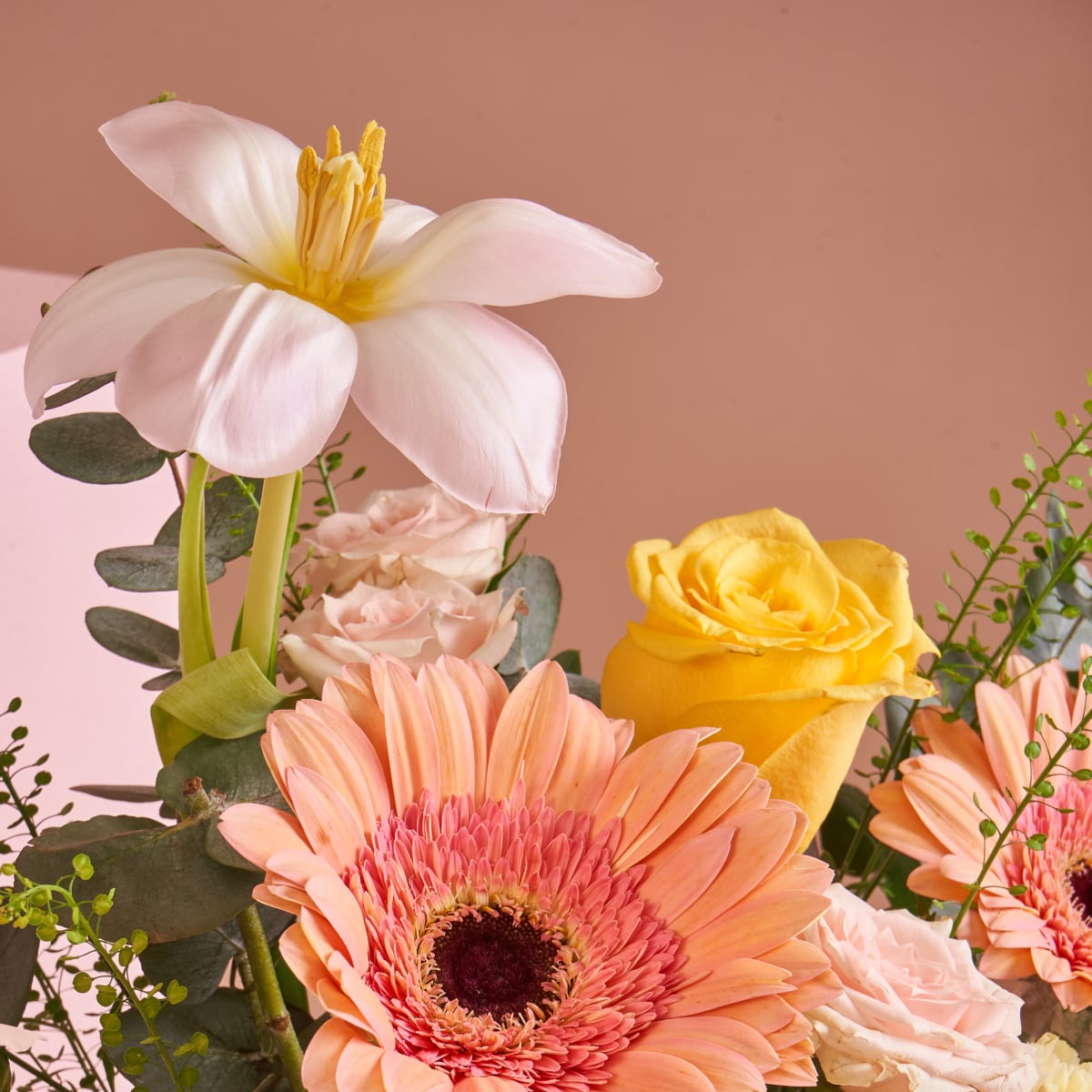 bloomthis-mimpikita-collection-promise-02