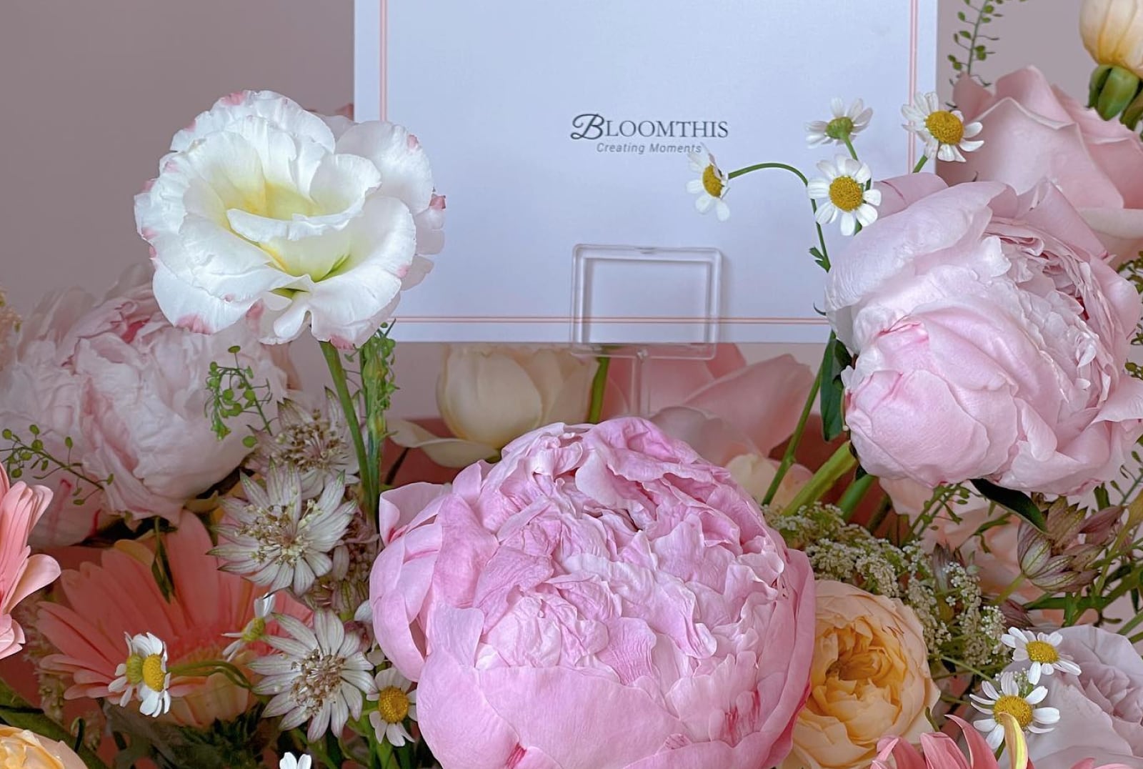 bloomthis-mimpikita-collection-social-08