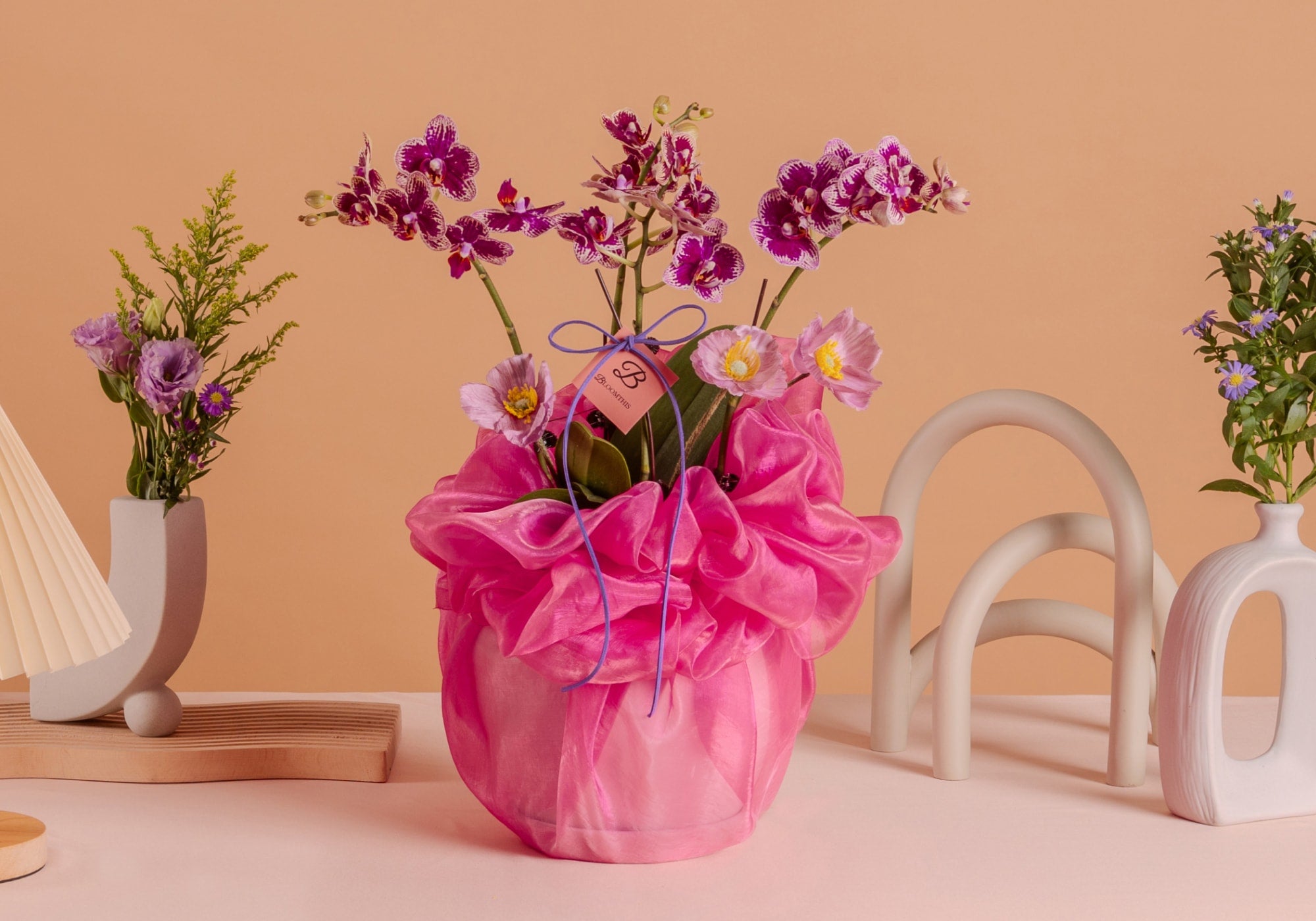 bloomthis-orchid-usp-01-premium-orchids-in-malaysia