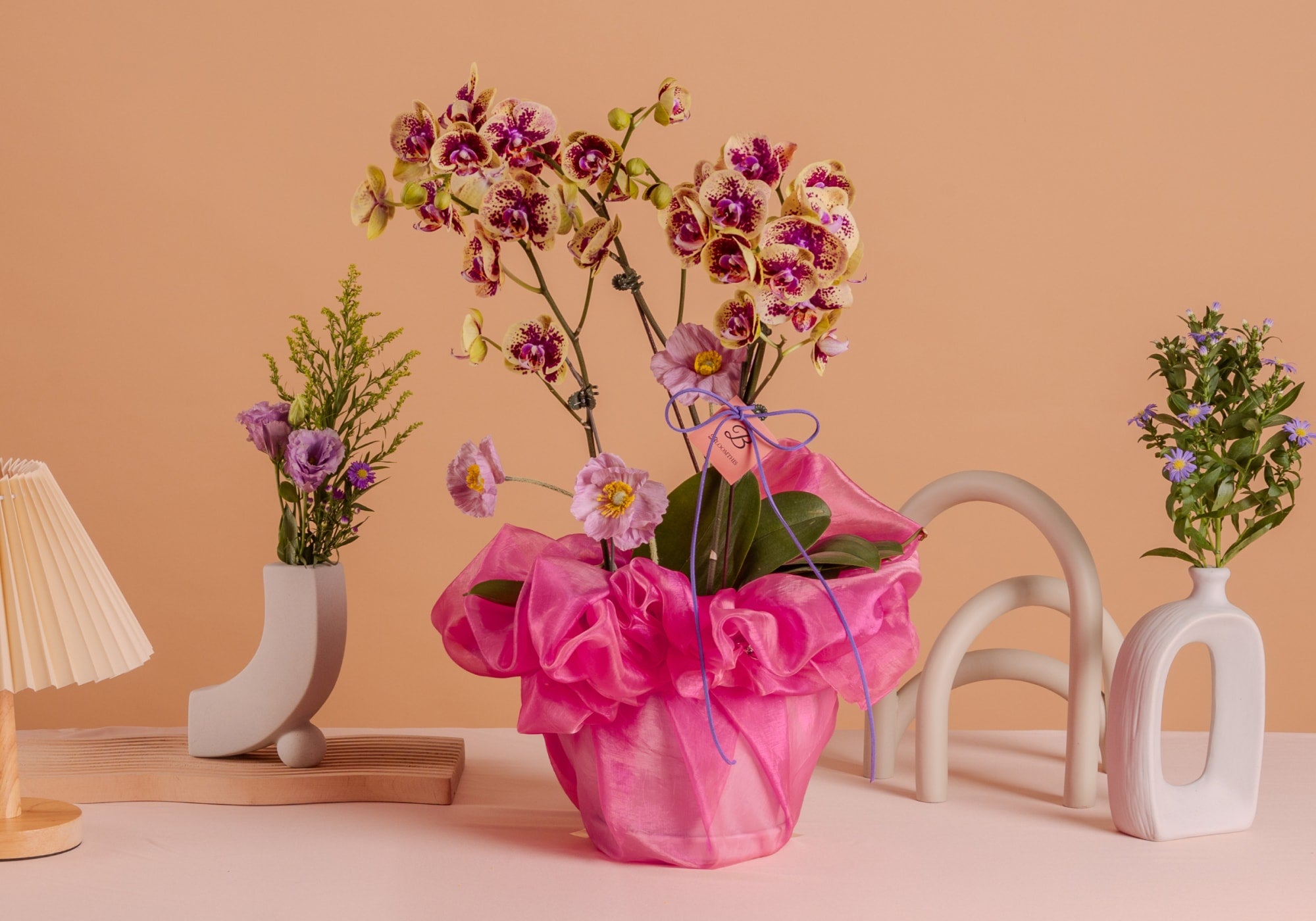 bloomthis-orchid-usp-03-ready-to-gift-potted-orchids