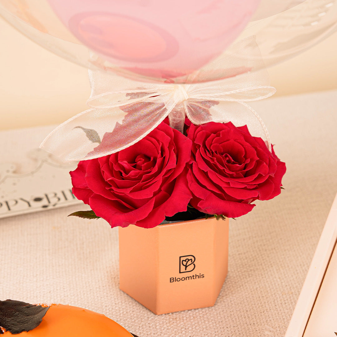 bloomthis-package-essential-celebration-pack-1080x1080-04