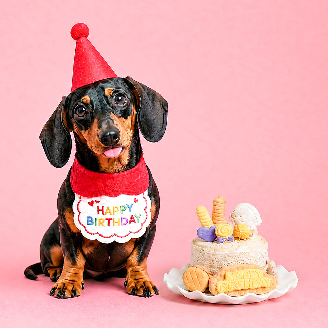 bloomthis-package-pet-birthday-joy-celebration-pack-1080x1080-02_b44072a5-797b-4f41-be71-3f8e631f4ab8