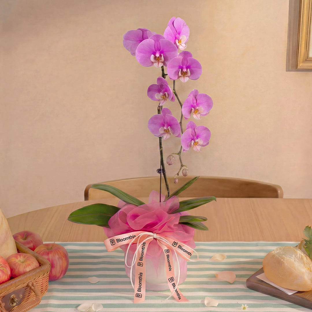 bloomthis-plant-ingrid-pink-phalaenopsis-orchid-1-stalk-1080x1080-03_063bb0bc-f023-4825-a190-b0e2f70c1443