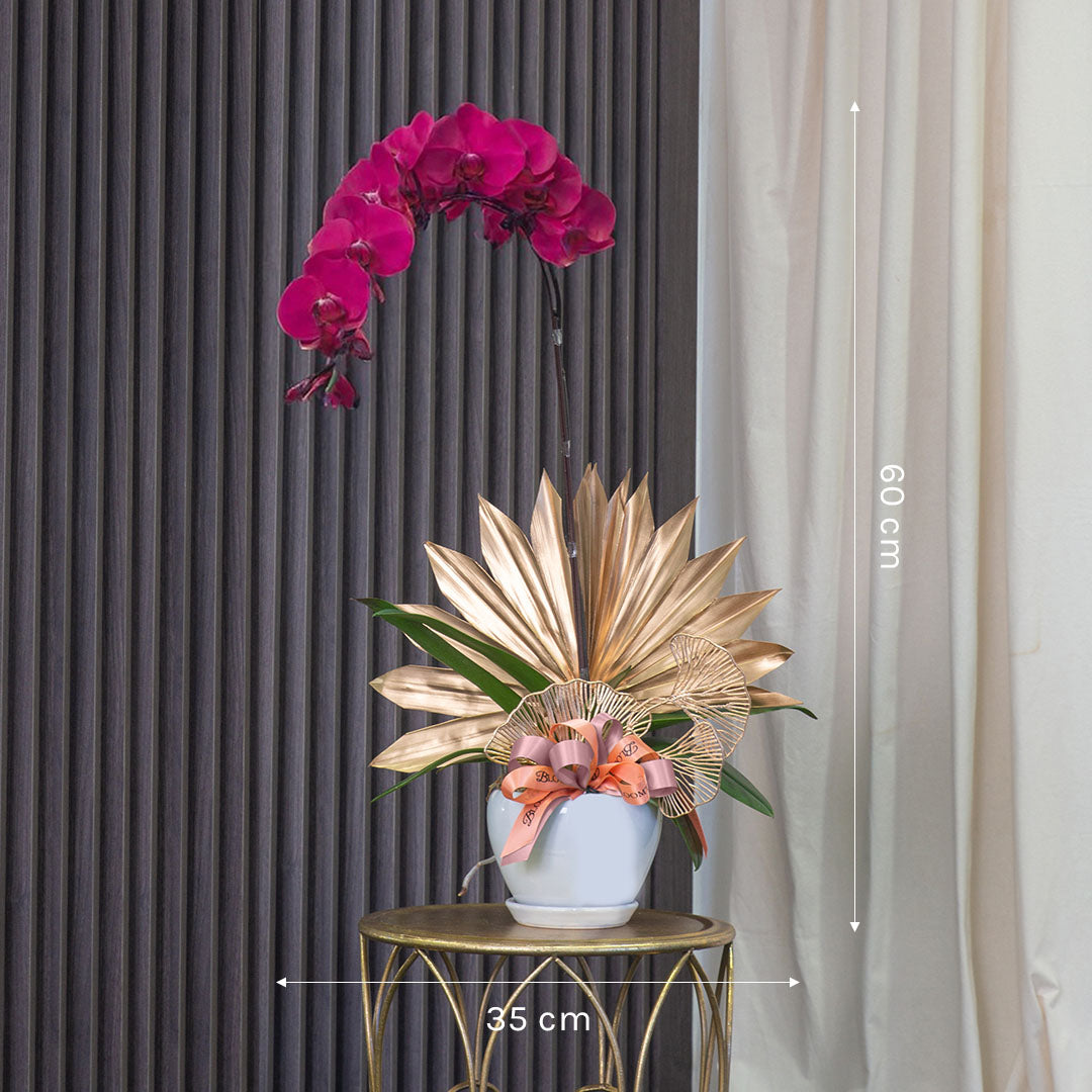 bloomthis-plant-jodie-purple-phalaenopsis-orchid-1-stalk-1080x1080-03