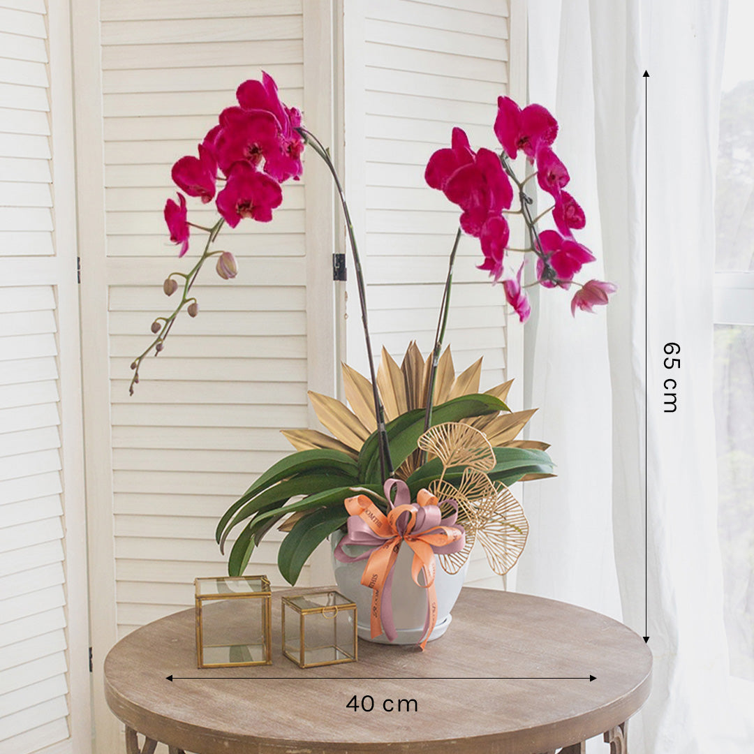bloomthis-plant-jodie-purple-phalaenopsis-orchid-2-stalks-1080x1080-03
