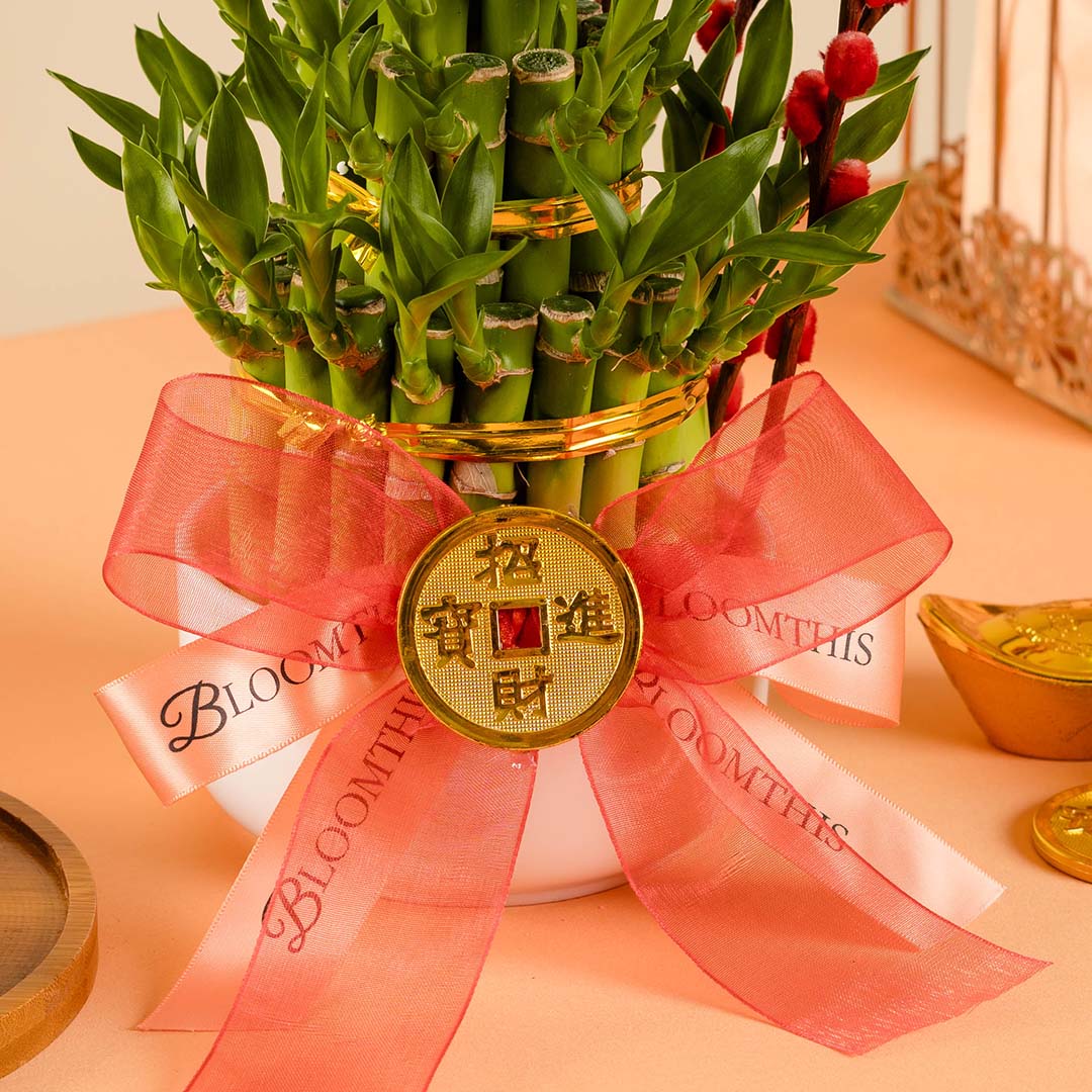 bloomthis-plant-lucky-bamboo-chinese-new-year-plant-1080x1080-04