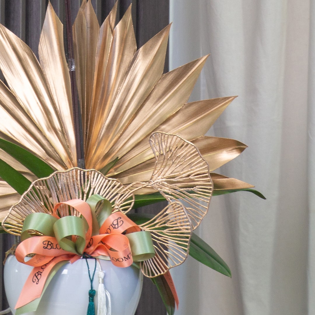 bloomthis-plant-raya-phalaenopsis-orchid-1-stalk-1080x1080-03_decd7077-f862-4629-bc81-b9d3587f2454