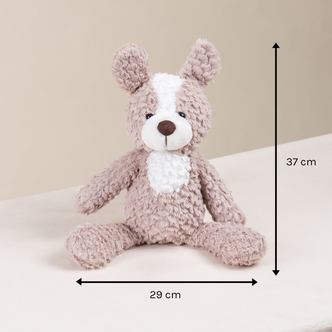 Colleney 2-Tone Beige Teddy Plushie