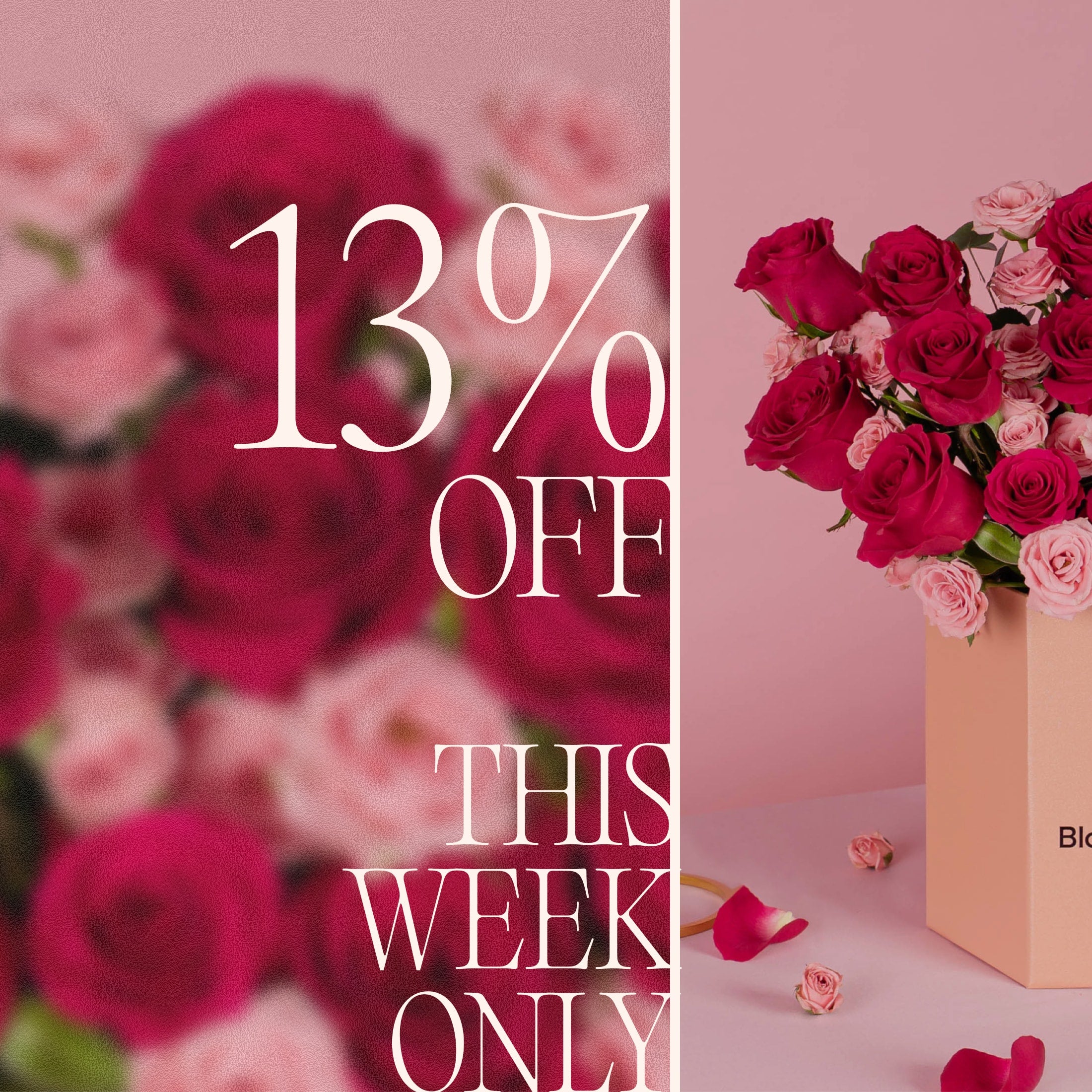 bloomthis-val26-bonus-01-13%