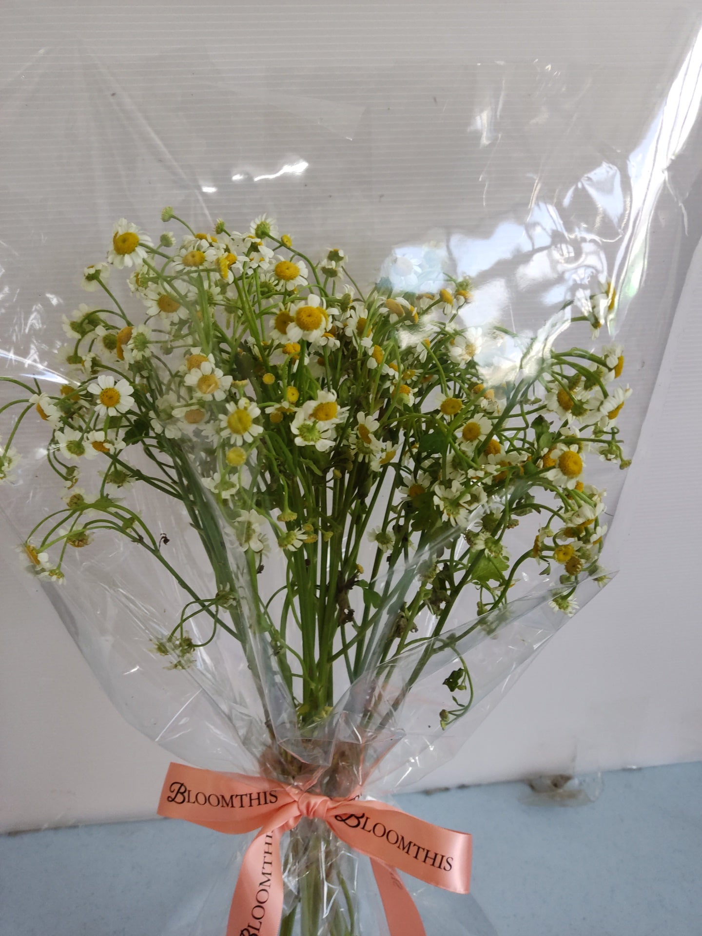 Pick-Me-Up Candid Chamomile