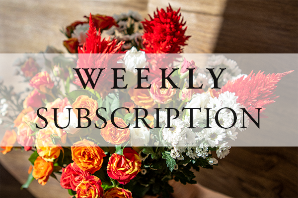 Weekly Subscription