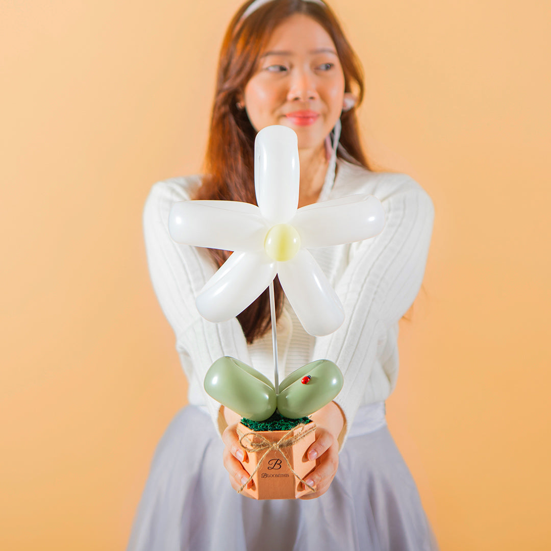 White Daisy Balloon Box