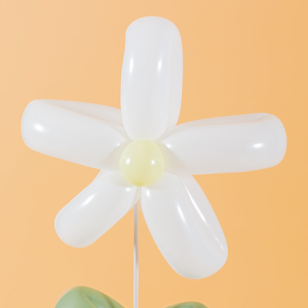 White Daisy Balloon Box