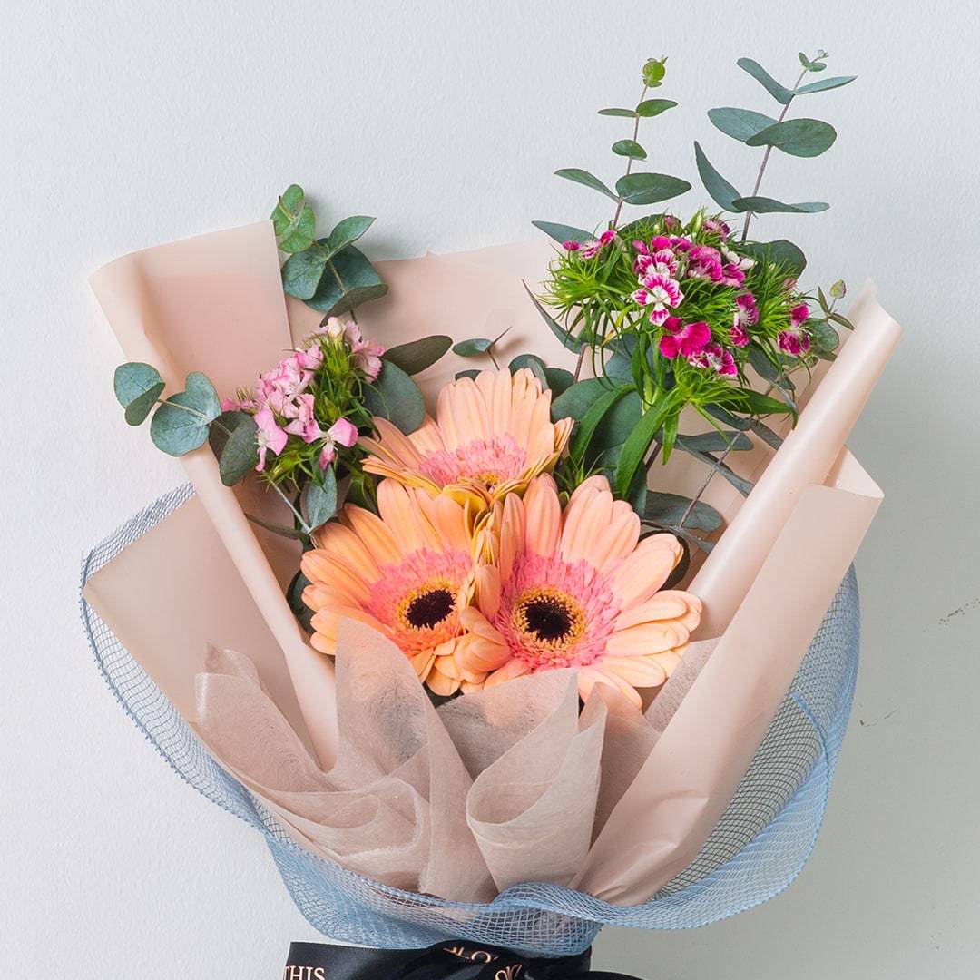 Beverly Gerbera Bouquet