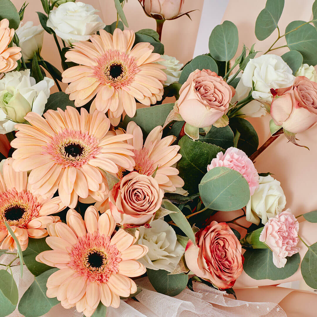 Blake Peach Gerbera Bouquet (VDV)