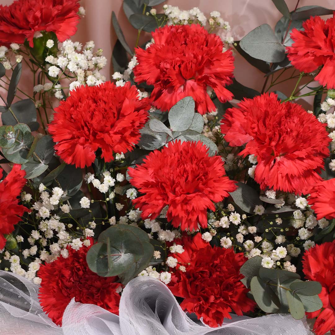 Cameron Red Carnation Bouquet