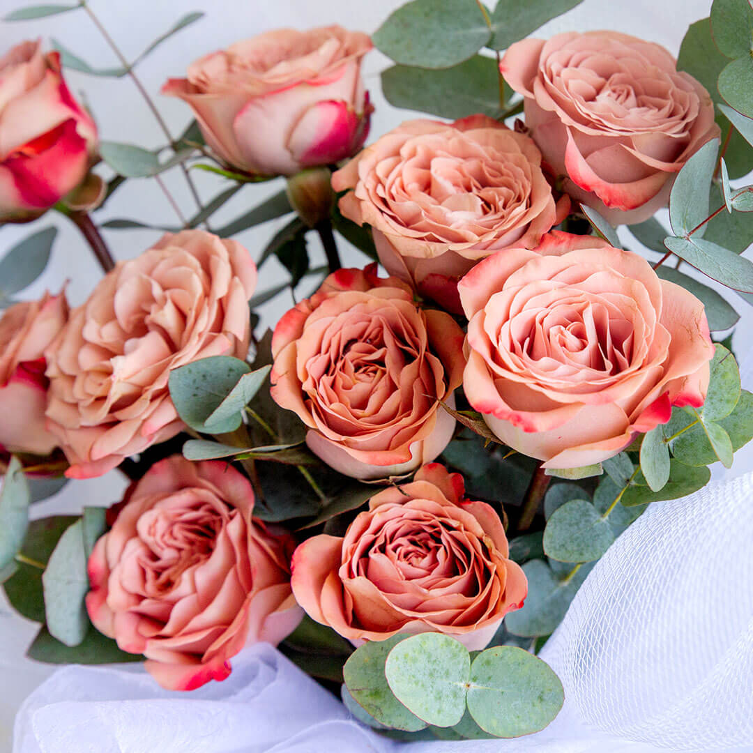 Charlie Cappuccino Rose Bouquet