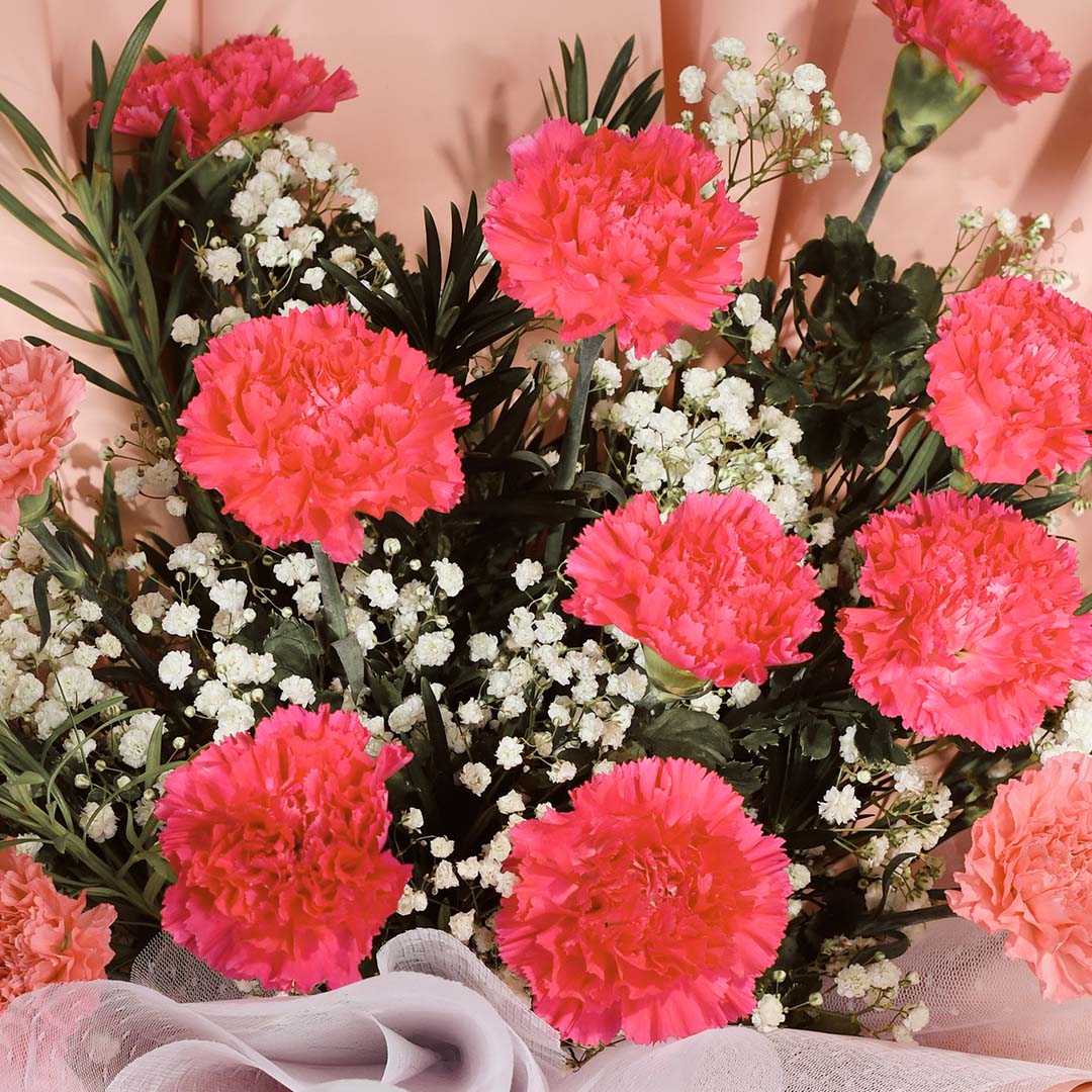 Pia Pink Carnation Bouquet (MD)