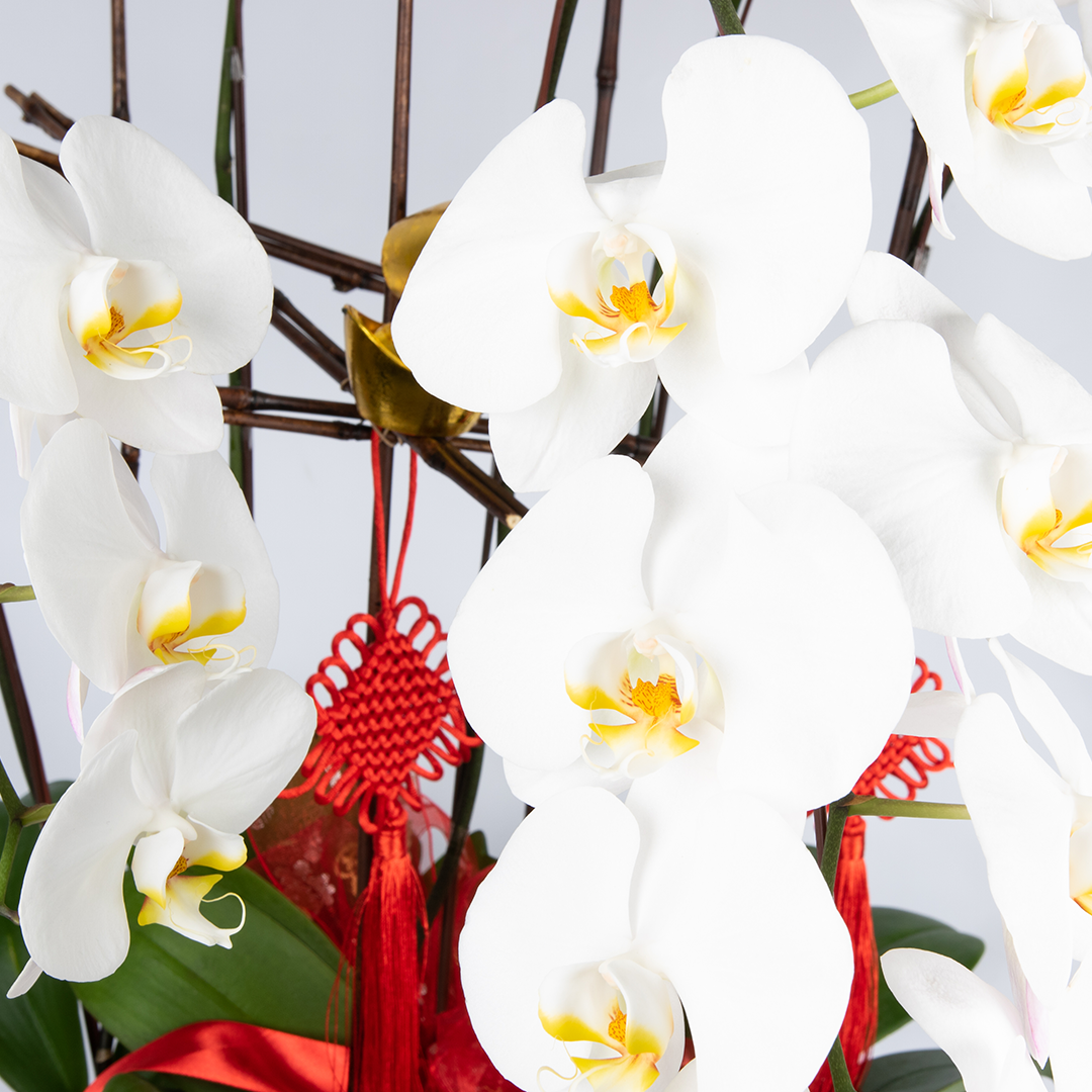 Abundant Wealth