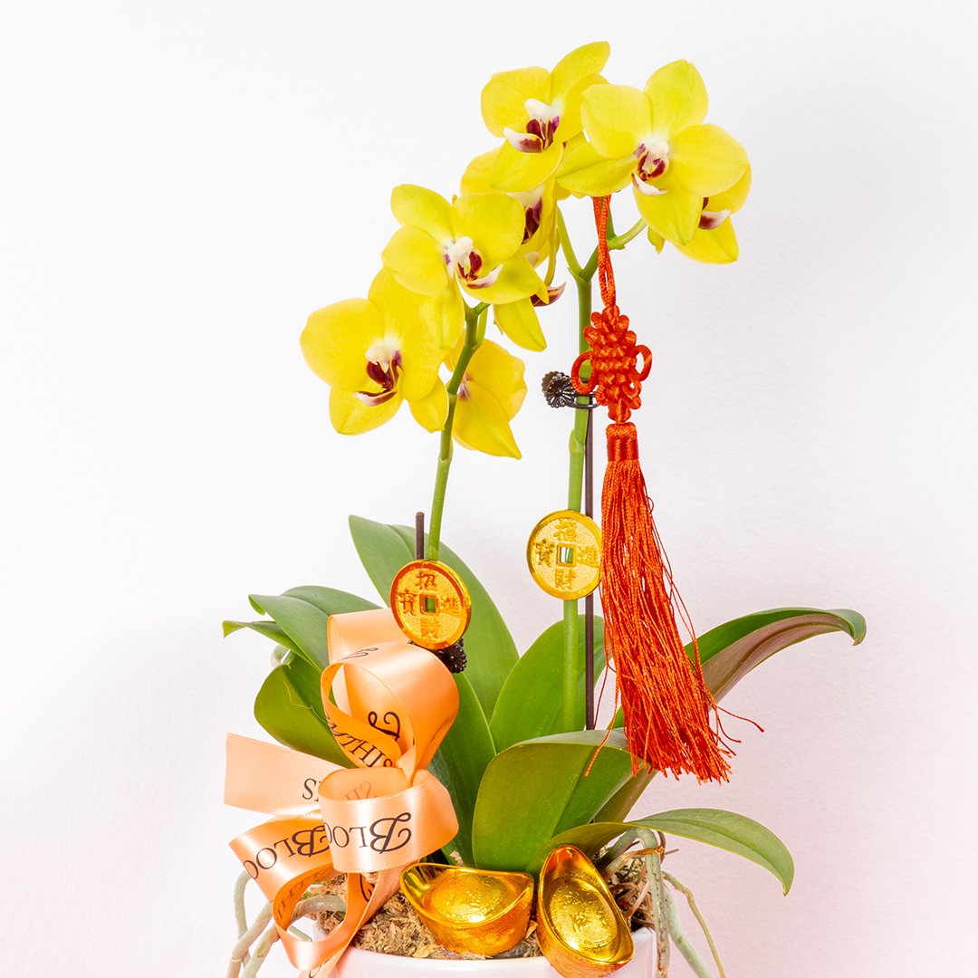 Auspicious Blessings