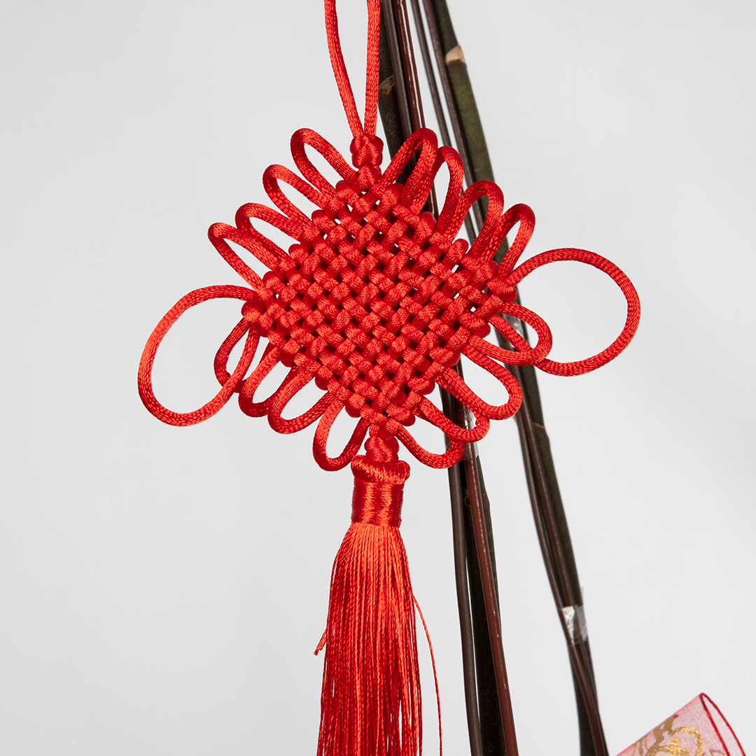 CNY Phalaenopsis Orchid (2 stalks)