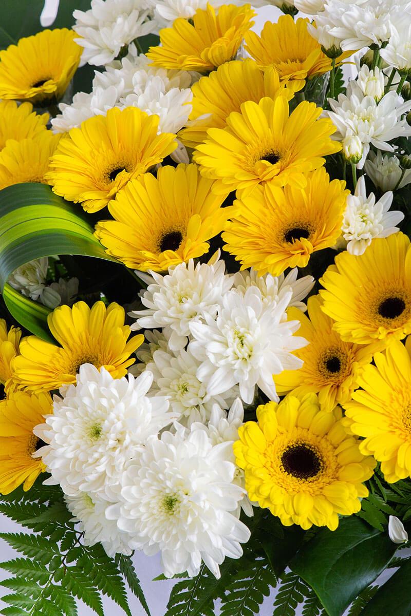 Tanvi Yellow Gerbera Condolence Flower Stand