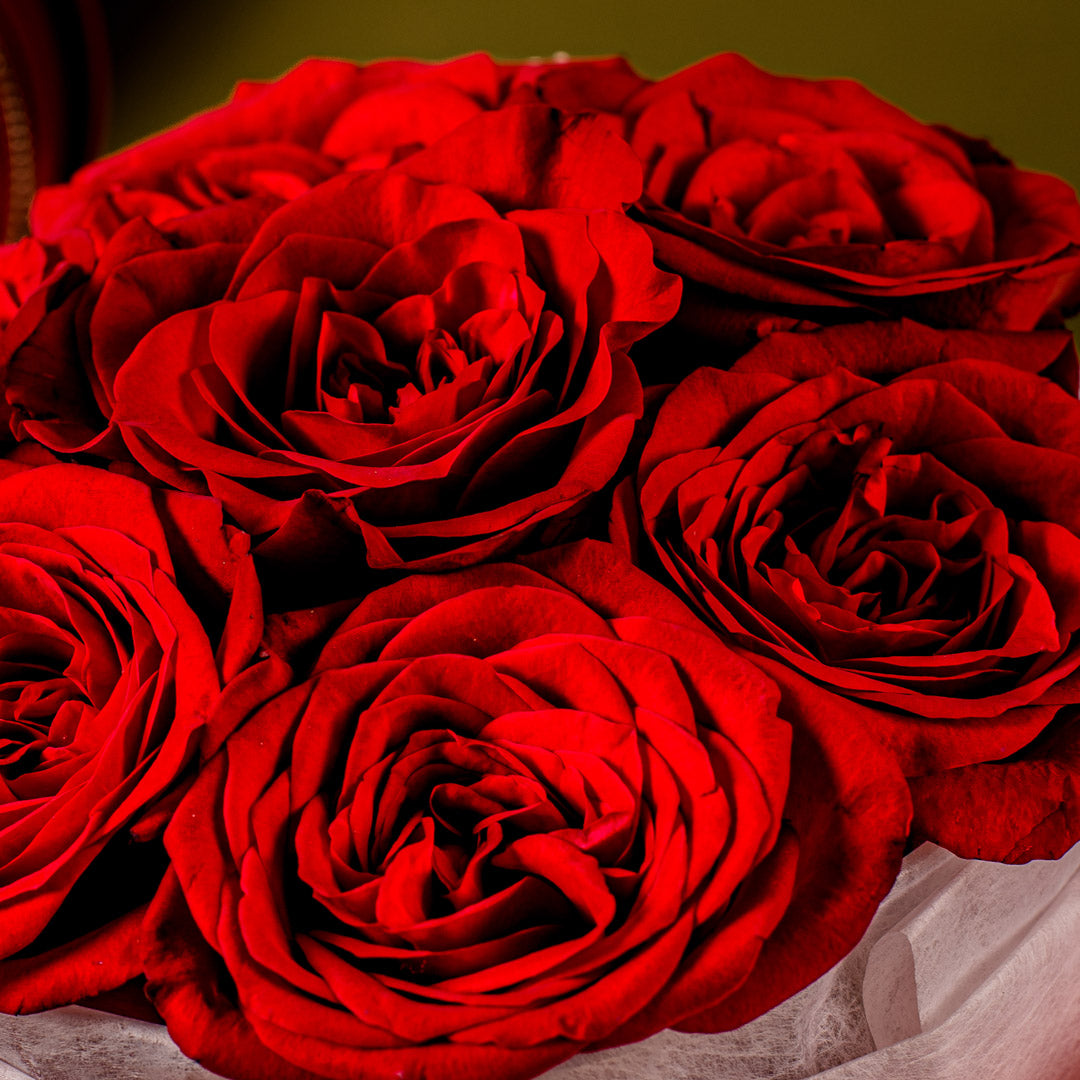 Mini Rachel Ruby Rose Bouquet + Desire Chain Bag