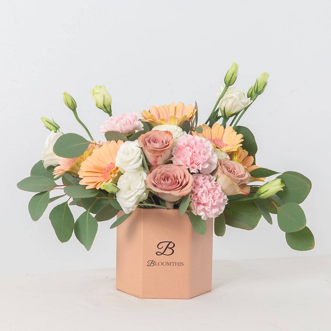 Blake Peach Gerbera Flower Box (MD)