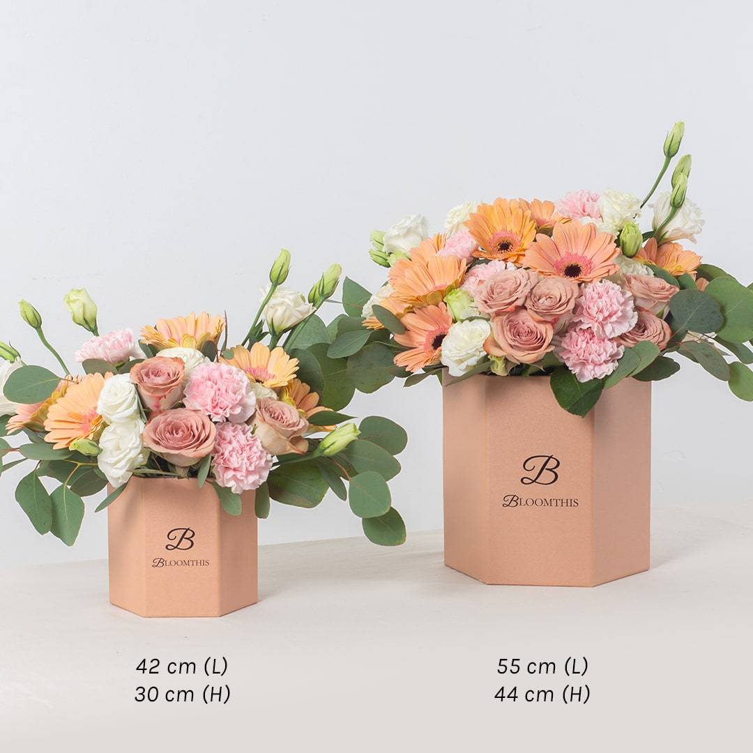 Blake Peach Gerbera Flower Box (VD)