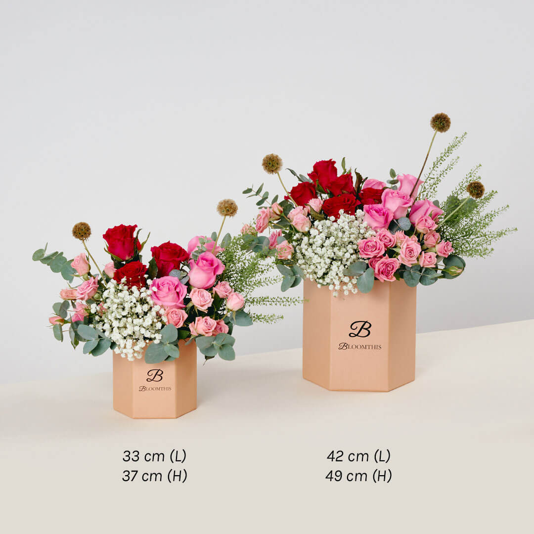 Catalina Pink Rose Flower Box (VD)