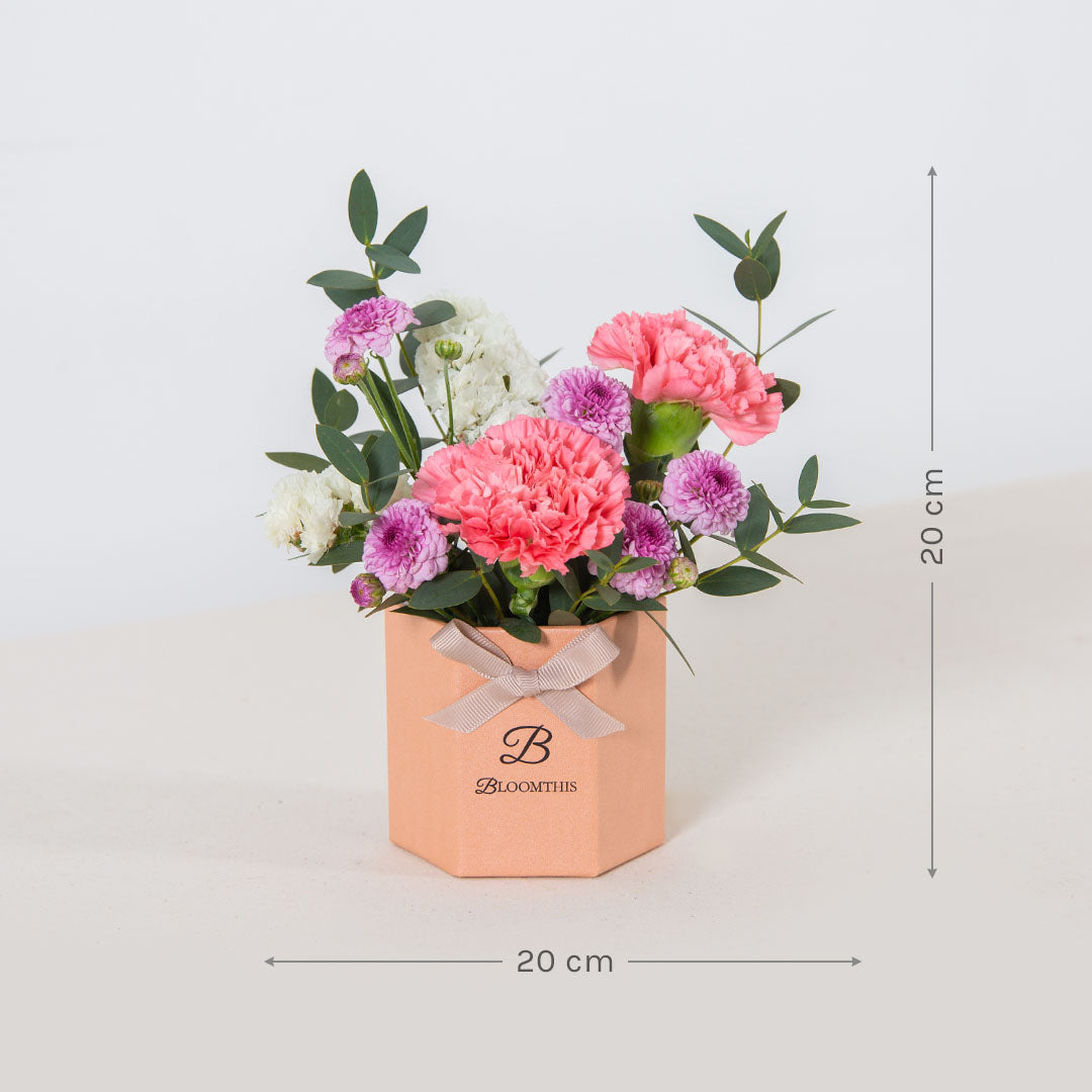 Chaya Carnation Mini Flower Box