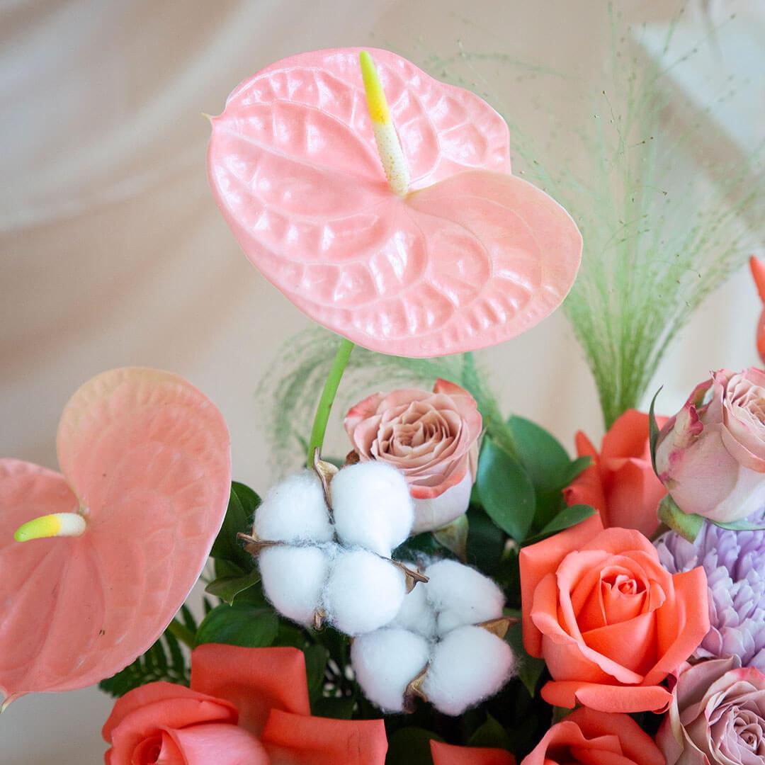 Fenella Pink Anthurium Flower Box