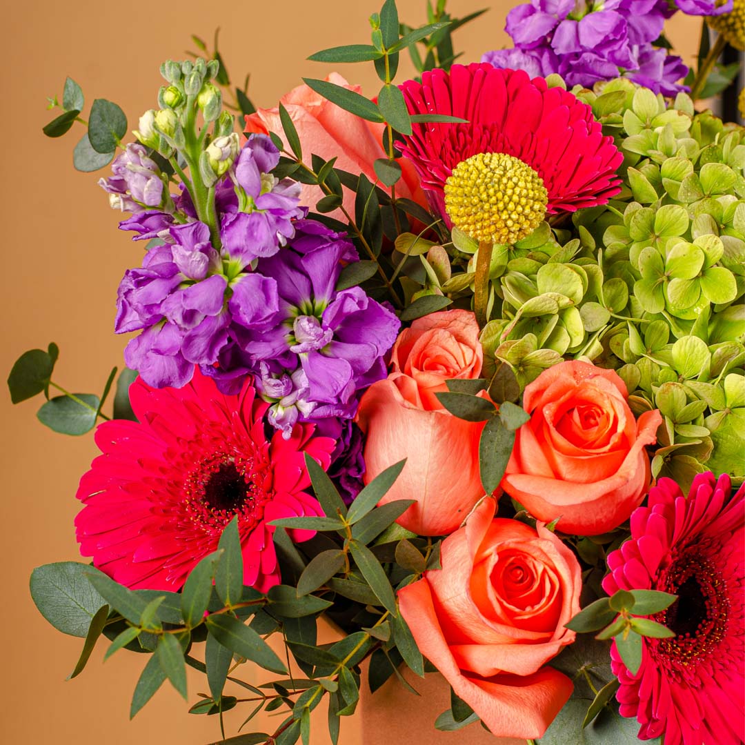 Gloria Hydrangea & Gerbera Flower Box