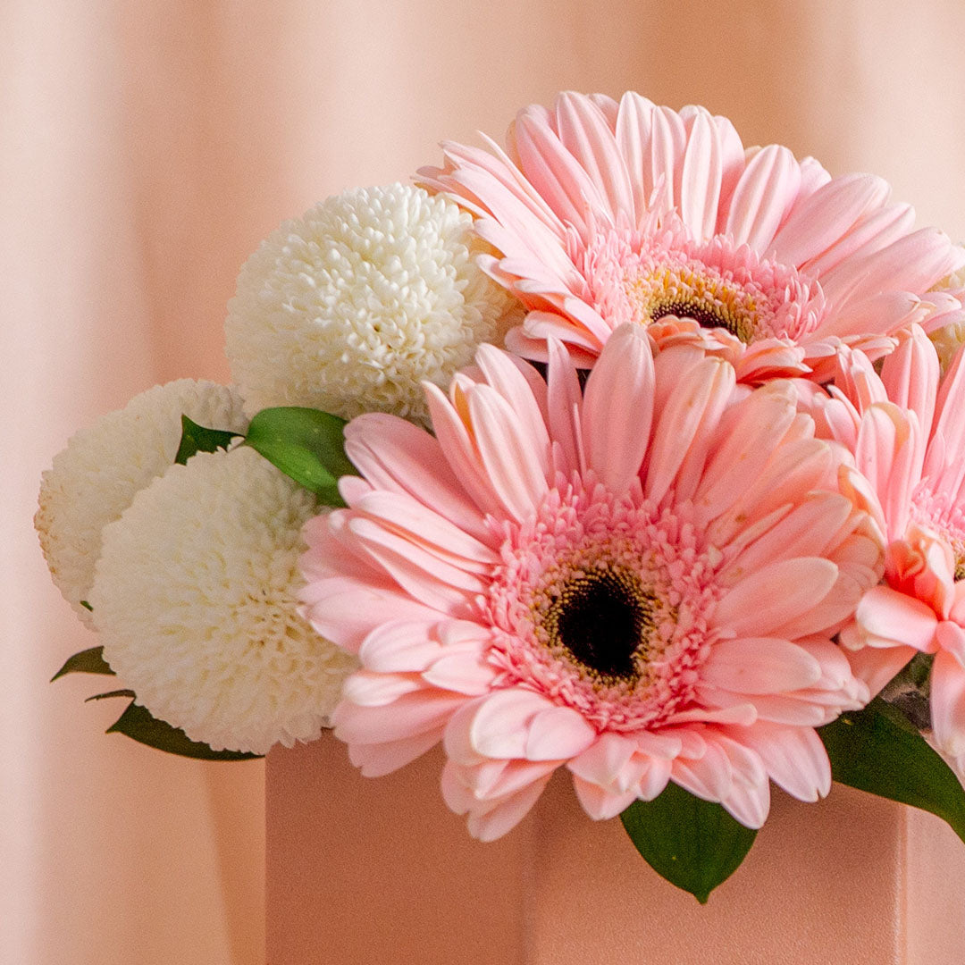 Grace Pink Gerbera Flower Box