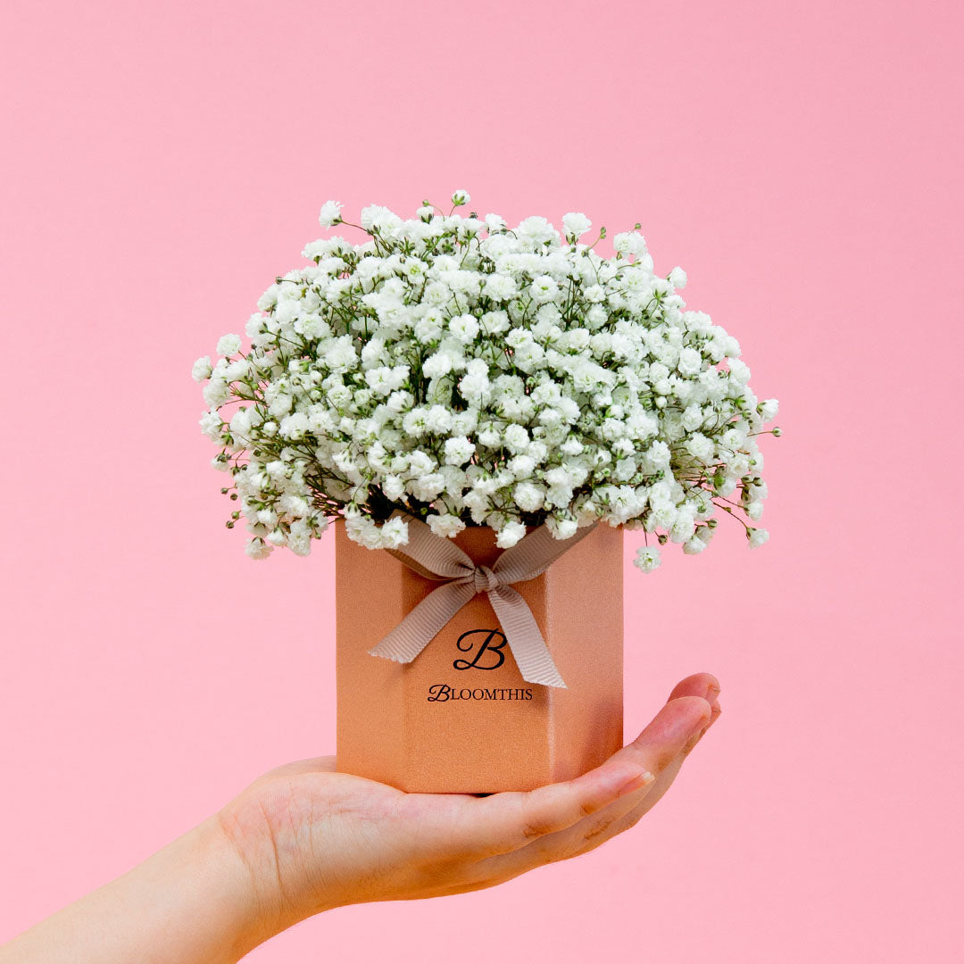 Joyful Baby's Breath Mini Flower Box (SC)
