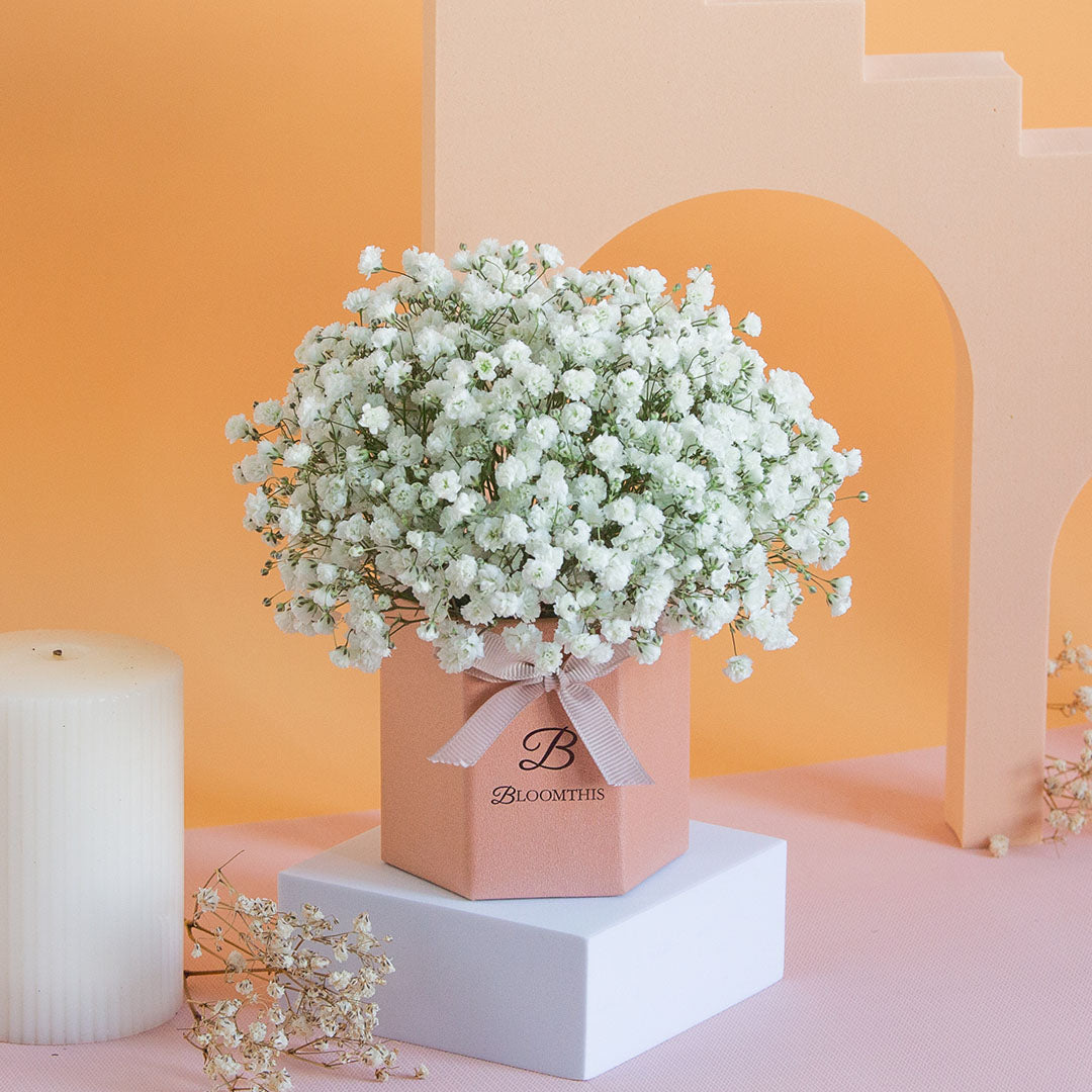 Joyful Baby's Breath Mini Flower Box (SC)