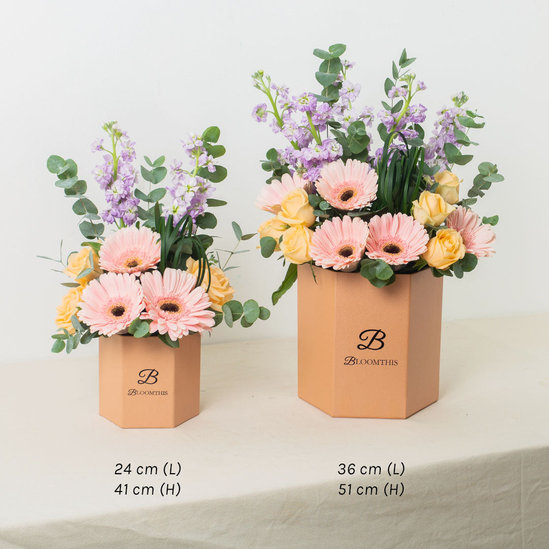 Naomi Pink Gerbera Flower Box (VDV)
