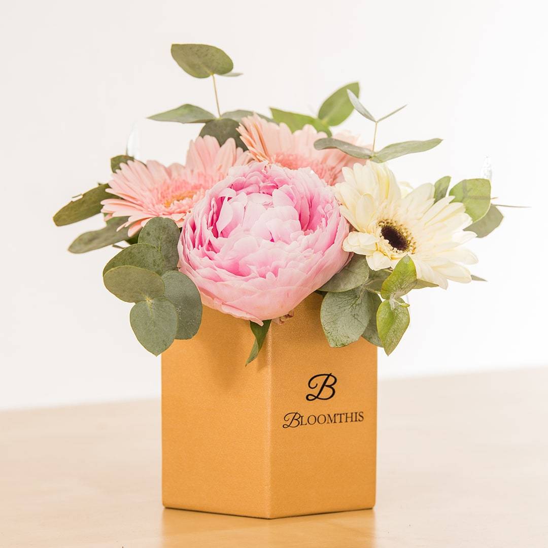 Priscilla Gerbera & Peony Flower Box