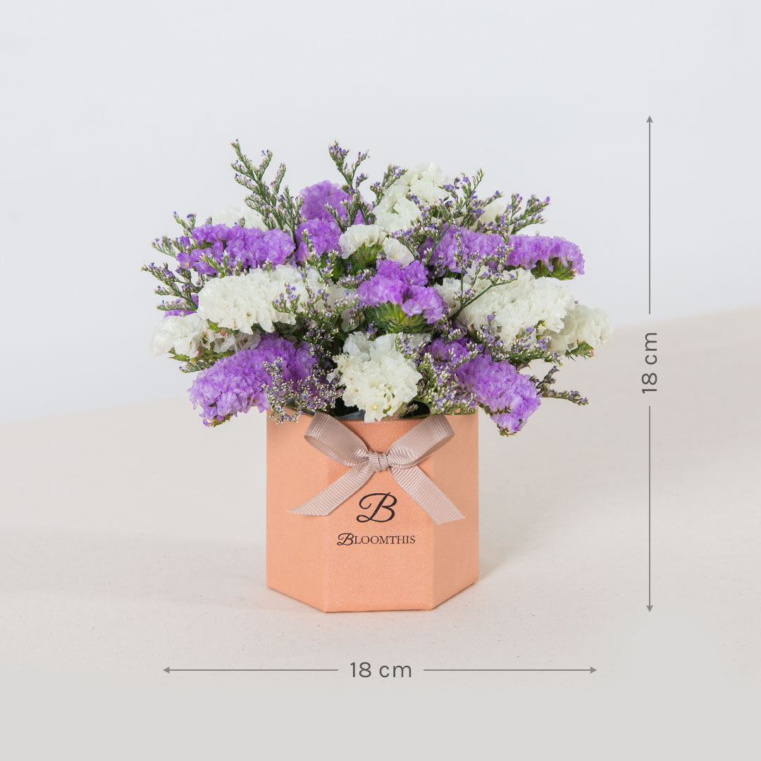 Wanda Statice Mini Flower Box