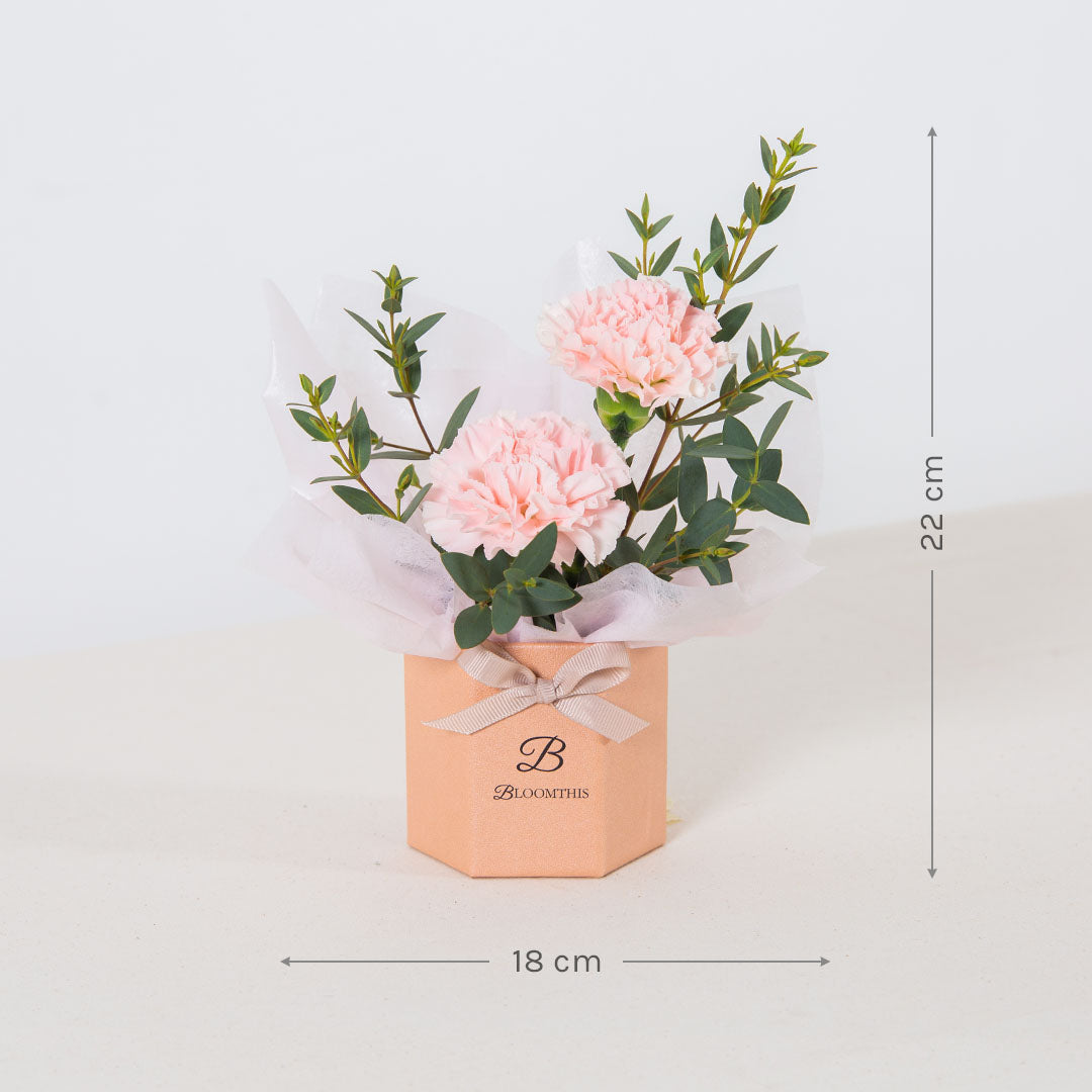 Waverly Carnation Mini Flower Box