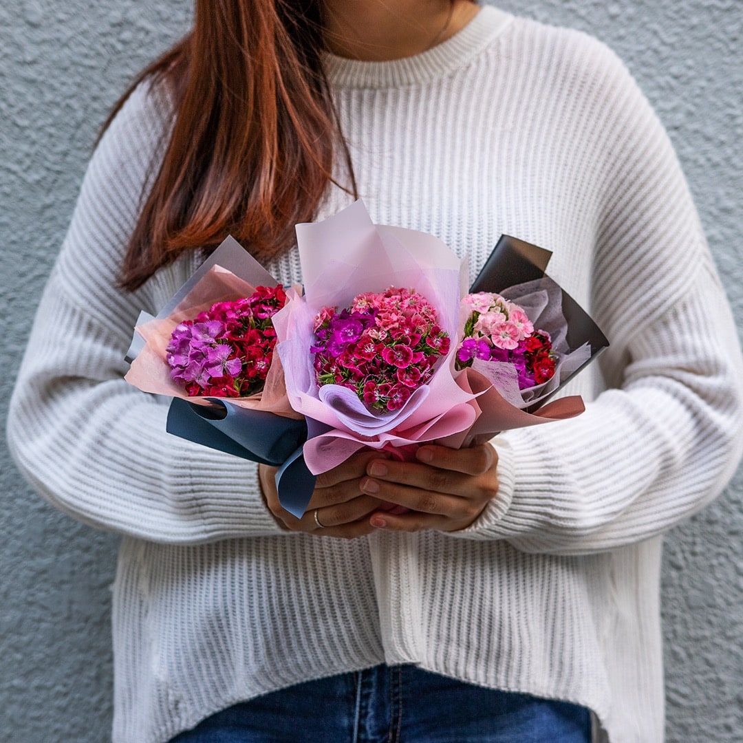 Aella Sweet William Mini Bouquet Set (3 pcs)