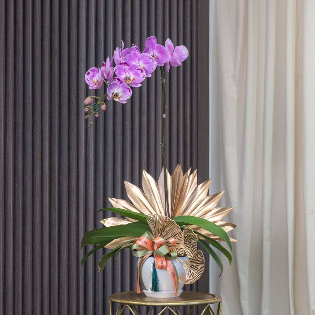 Deepavali Phalaenopsis Orchid (1 stalk)