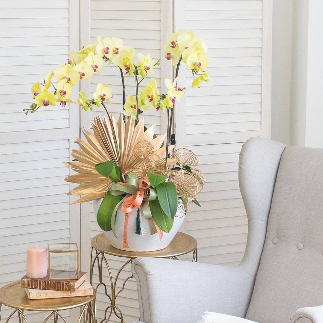 Deepavali Phalaenopsis Orchid (5 stalks)