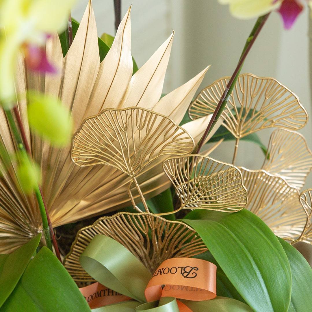 Deepavali Phalaenopsis Orchid (5 stalks)