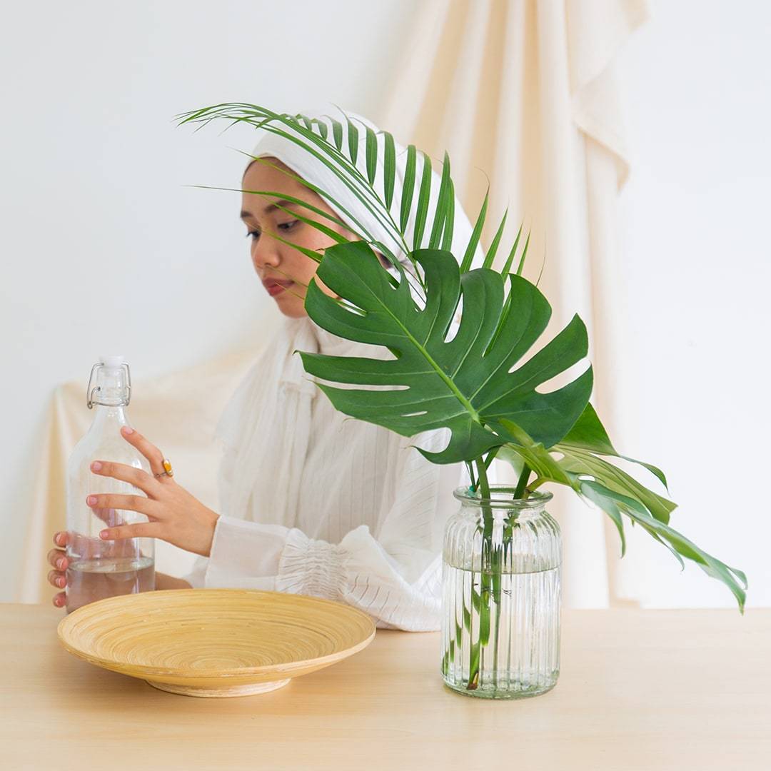 Cut Monstera Deliciosa in Vase (3 Leaves)