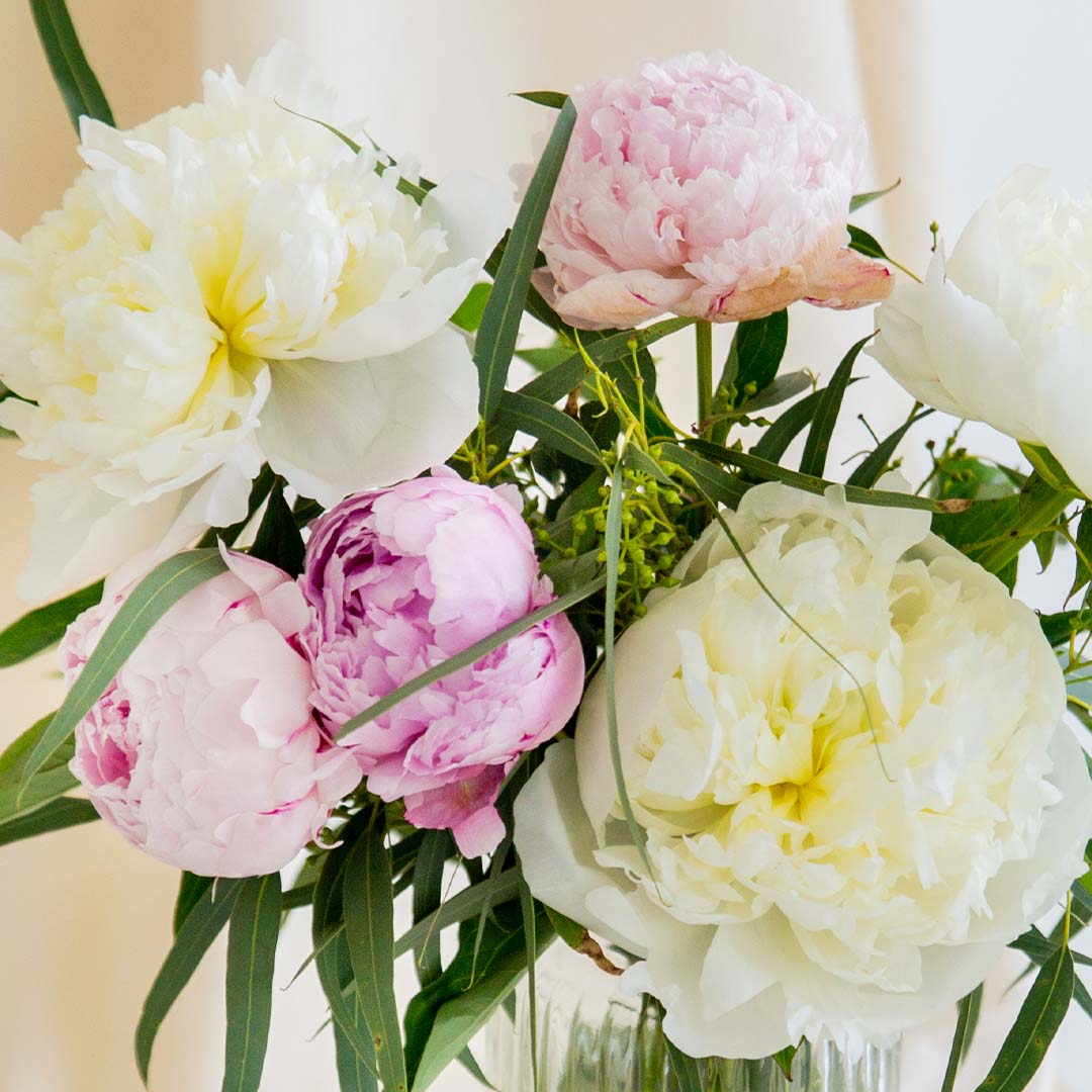 Prudence Pink & White Peony Vase