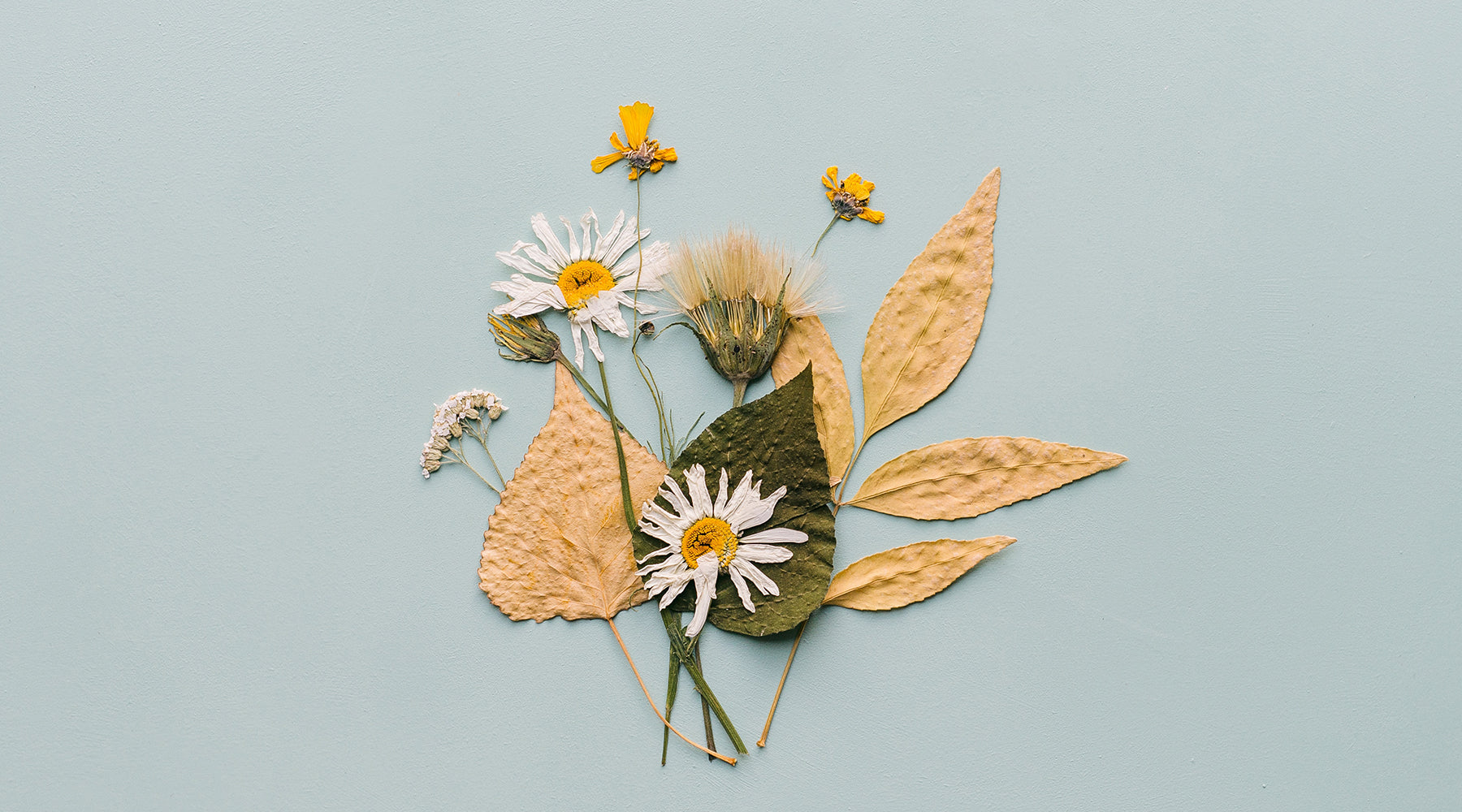 How to DIY Pressed Flowers